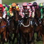 HMS Seahorse suffers fatal injury, marking second horse death at Cheltenham Festival