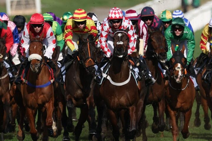 HMS Seahorse suffers fatal injury, marking second horse death at Cheltenham Festival