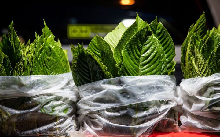 Kratom poisoning cases surge by over 1,200% in the last decade