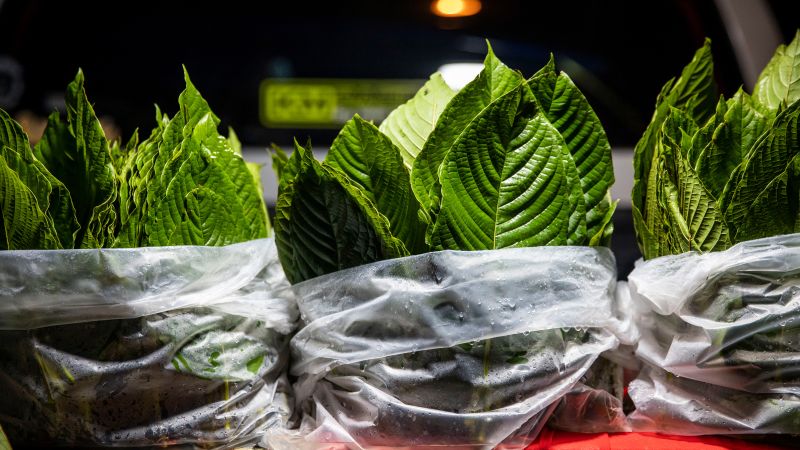 Kratom poisoning cases surge by over 1,200% in the last decade