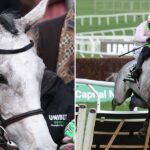 Lossiemouth secures Champion Hurdle victory at Cheltenham Festival, claims fourth consecutive win