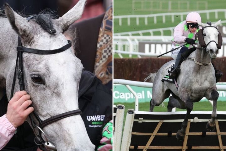 Lossiemouth secures Champion Hurdle victory at Cheltenham Festival, claims fourth consecutive win