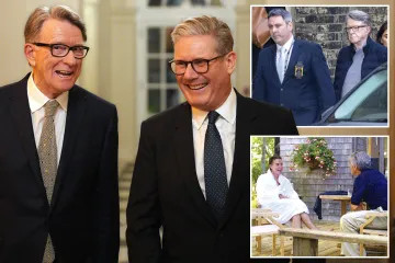 Mandelson delayed UK return due to dog certification, emails disclose