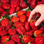 Nearly 40% of California's nonorganic produce tested positive for ‘forever chemicals’