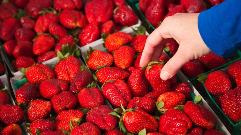 Nearly 40% of California's nonorganic produce tested positive for ‘forever chemicals’