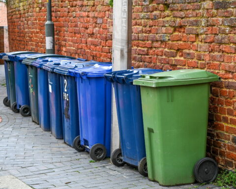 New digital ID plans set to alert Brits on bin collection dates