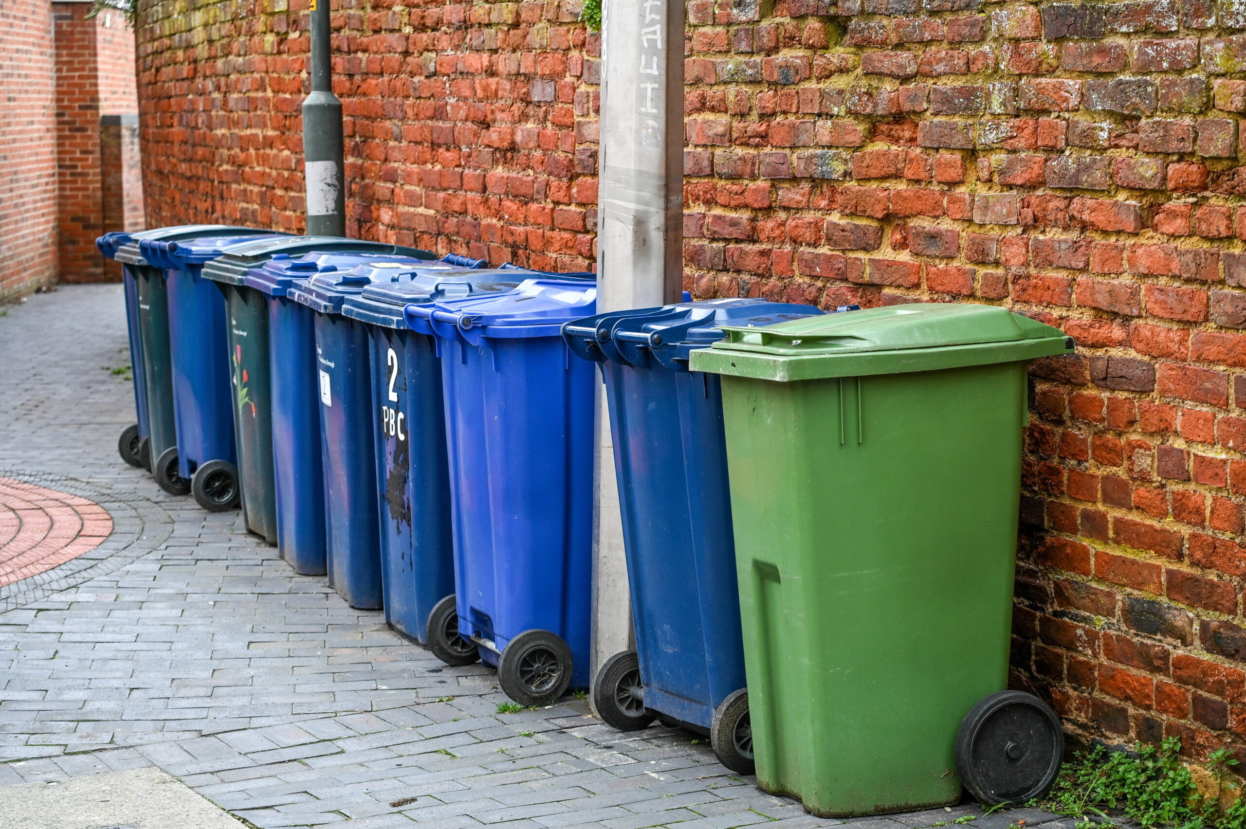 New digital ID plans set to alert Brits on bin collection dates