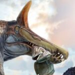 New Spinosaurus species discovered in Niger, the first in over a century