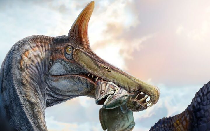 New Spinosaurus species discovered in Niger, the first in over a century