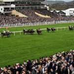 Over 50 horses withdrawn from Cheltenham Festival as trainers finalize entries
