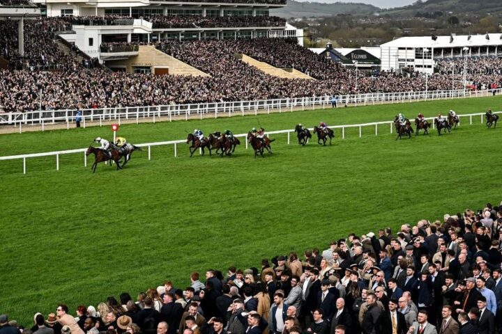 Over 50 horses withdrawn from Cheltenham Festival as trainers finalize entries
