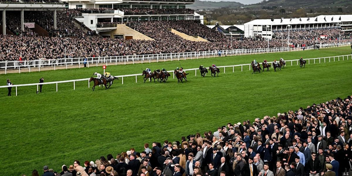Over 50 horses withdrawn from Cheltenham Festival as trainers finalize entries