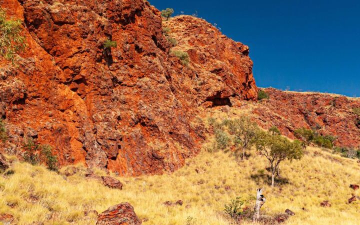 Scientists uncover earliest evidence of plate tectonics on Earth from 3.5 billion years ago