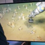 Scientists uncover insights into the origins of complex life through Asgard microbes