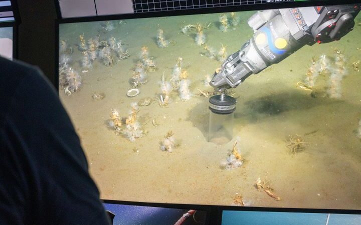 Scientists uncover insights into the origins of complex life through Asgard microbes