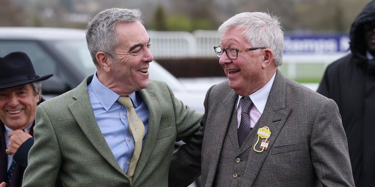 Sir Alex Ferguson and James Nesbitt attend Cheltenham Festival as horses compete