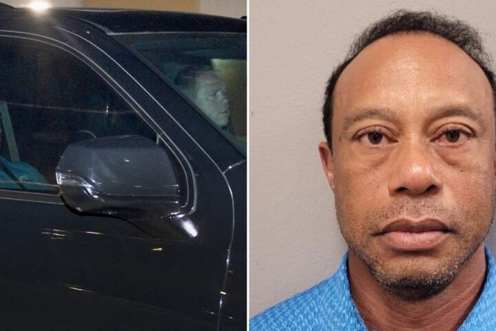 Tiger Woods pleads not guilty to DUI charges following car crash in Florida