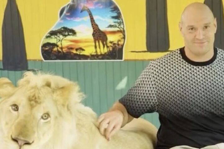Tyson Fury faces backlash for lion photoshoot ahead of Arslanbek Makhmudov fight