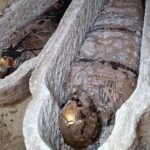 Archaeologists discover mummy with Iliad text in ancient Egyptian city excavation