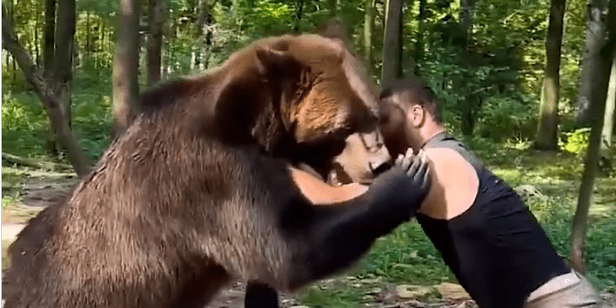 Arslanbek Makhmudov wrestles a bear ahead of heavyweight clash with Tyson Fury