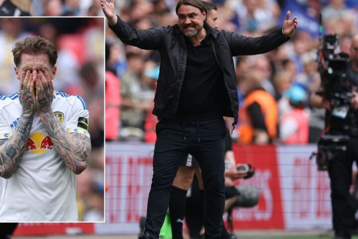 Daniel Farke acknowledges players' nerves in FA Cup semi-final defeat to Chelsea