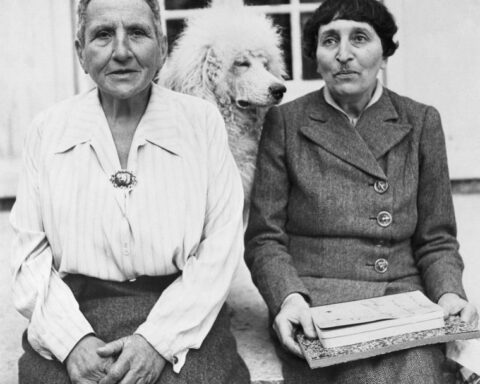 Gertrude Stein: a complex legacy of innovation and controversy in modern literature