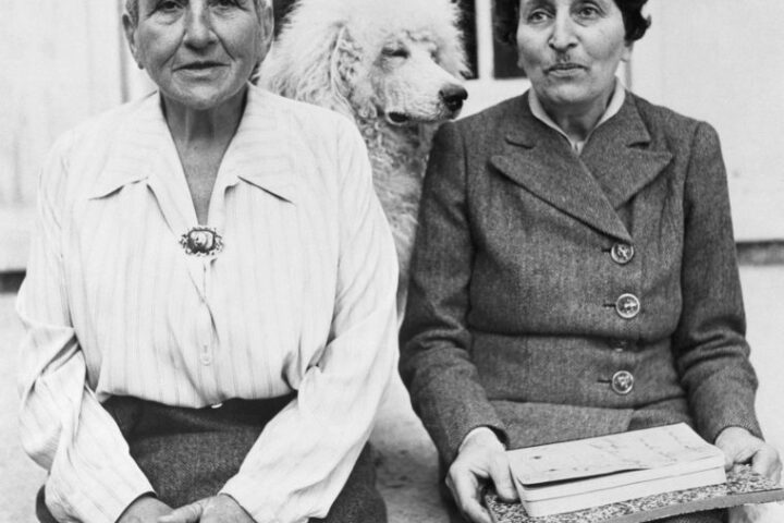Gertrude Stein: a complex legacy of innovation and controversy in modern literature