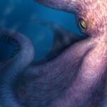 Giant octopuses acted as apex predators 100 million years ago, revealed by fossil findings