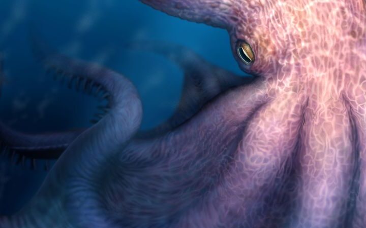 Giant octopuses acted as apex predators 100 million years ago, revealed by fossil findings