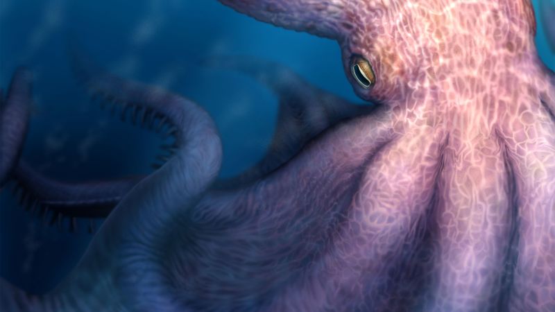 Giant octopuses acted as apex predators 100 million years ago, revealed by fossil findings