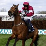 Gold Dancer euthanised after sustaining injury while winning at Aintree’s Grand National Festival