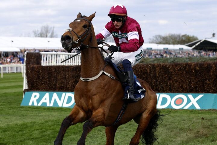 Gold Dancer euthanised after sustaining injury while winning at Aintree’s Grand National Festival