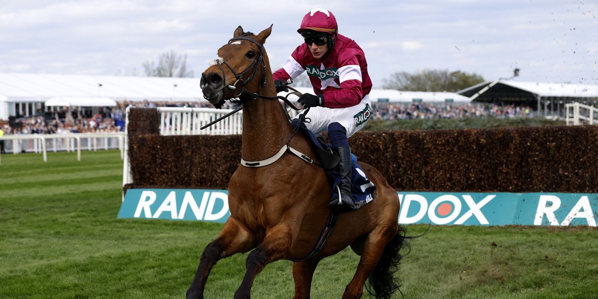 Gold Dancer euthanised after sustaining injury while winning at Aintree’s Grand National Festival