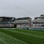 Grand National contender Twig eyes £1 million prize after £100 purchase