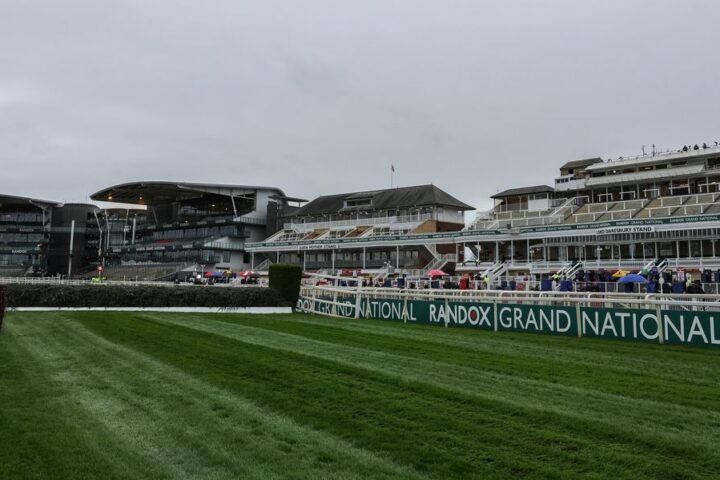 Grand National contender Twig eyes £1 million prize after £100 purchase