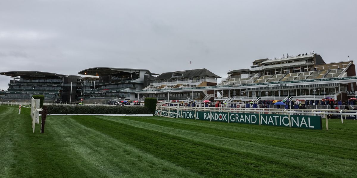 Grand National contender Twig eyes £1 million prize after £100 purchase