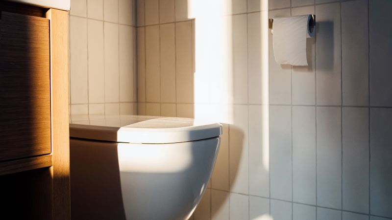 Harvard gastroenterologist outlines the three essential factors for healthy bowel movements