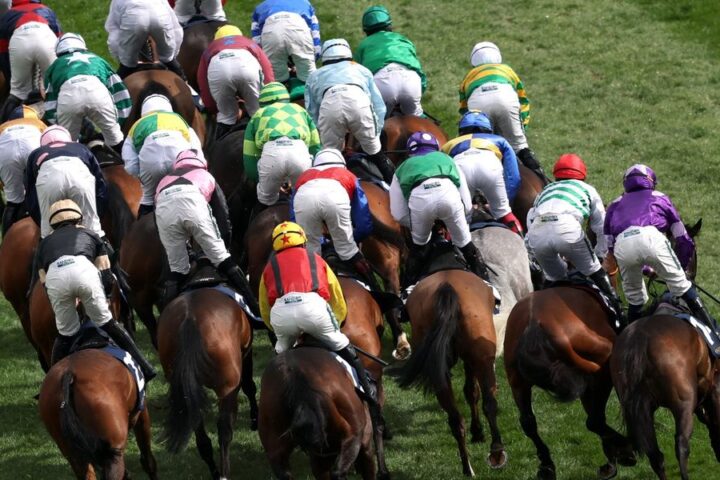 Horse put down after fatal injury at Aintree Grand National festival
