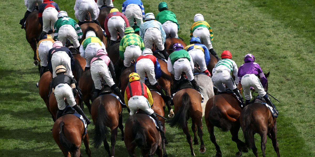 Horse put down after fatal injury at Aintree Grand National festival