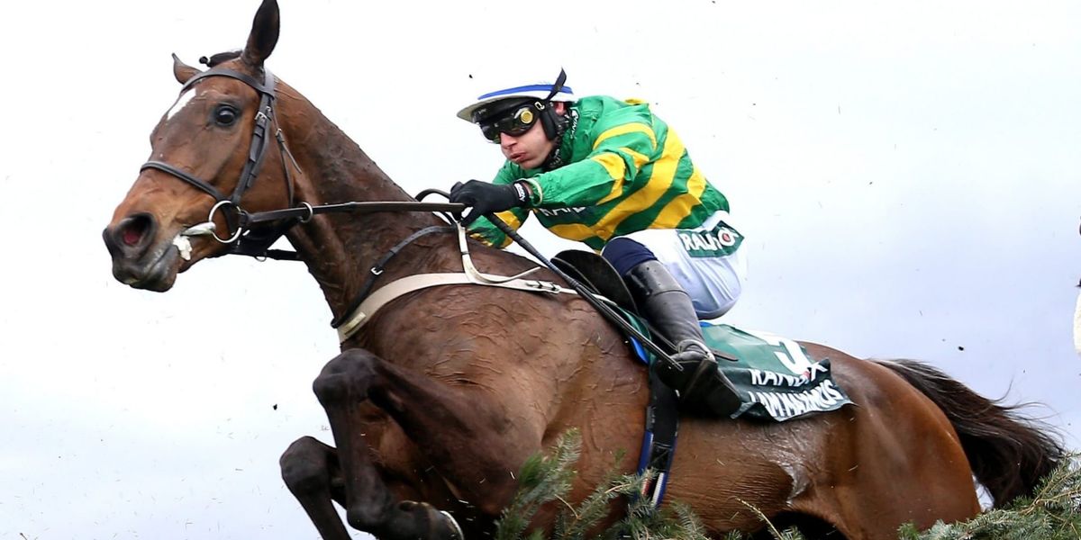 I Am Maximus becomes first horse since Red Rum to win Grand National twice
