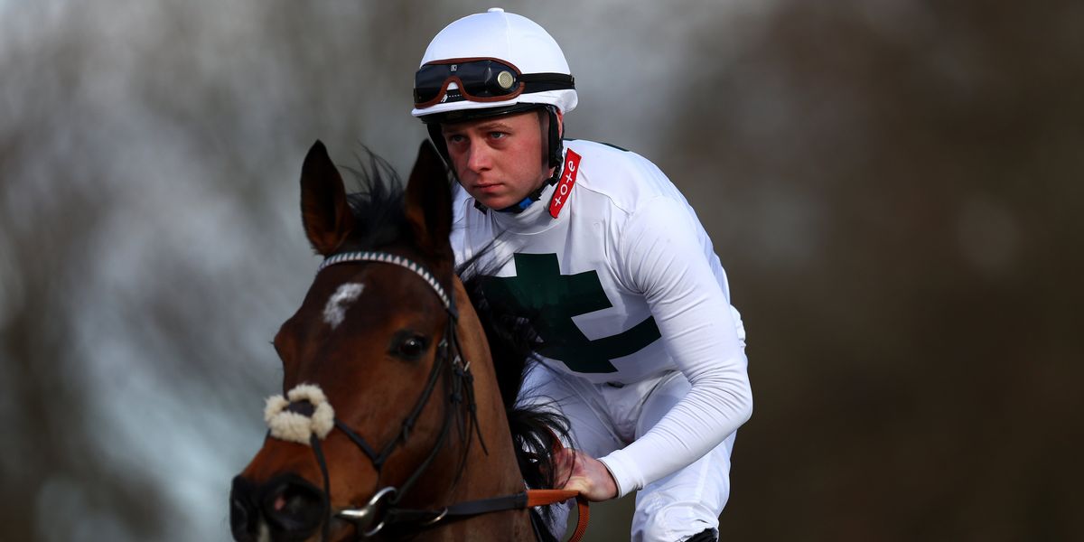 Jockey pleads guilty to manslaughter of pensioner after pub brawl in Suffolk