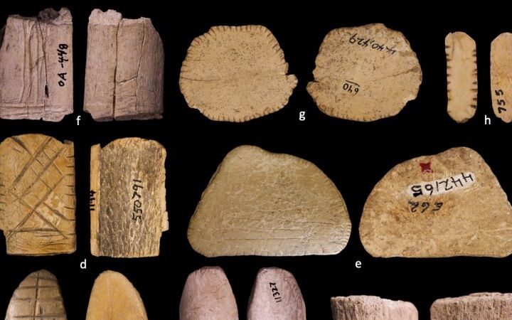 Native Americans reportedly used primitive dice more than 12,000 years ago in North America