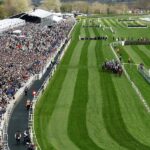 PETA calls for abolition of Grand National after racehorse Gold Dancer's fatal injury