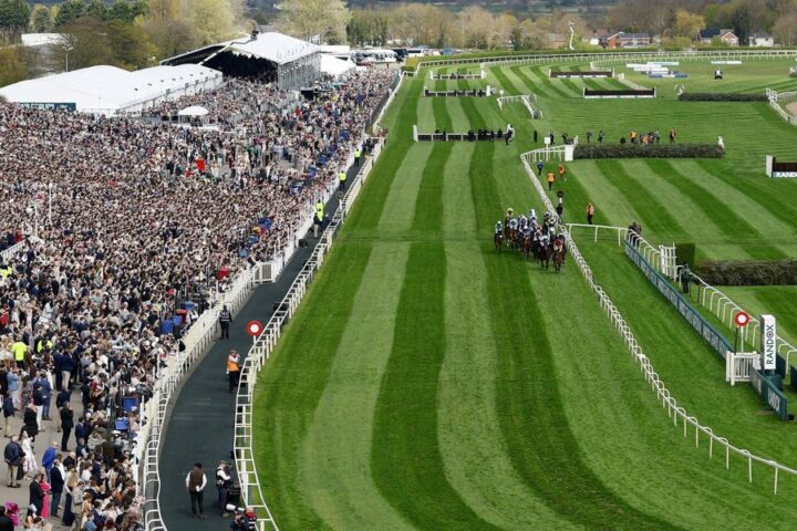 PETA calls for abolition of Grand National after racehorse Gold Dancer's fatal injury