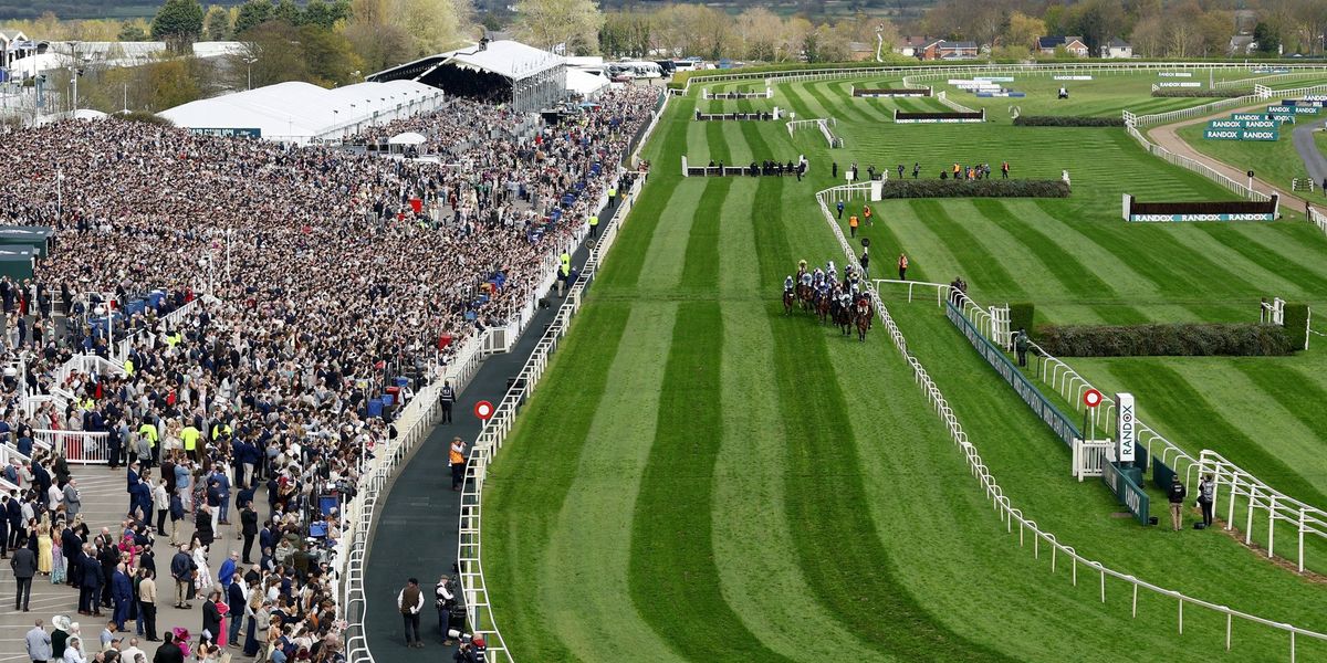 PETA calls for abolition of Grand National after racehorse Gold Dancer's fatal injury