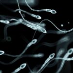 Stress can impact male fertility: what men need to know about sperm health