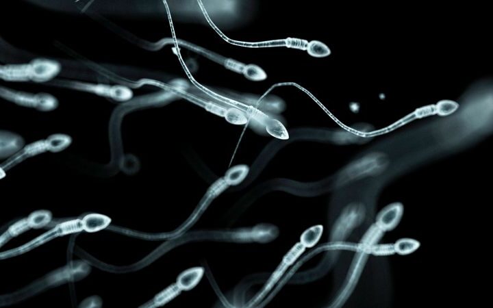 Stress can impact male fertility: what men need to know about sperm health