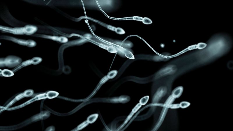 Stress can impact male fertility: what men need to know about sperm health