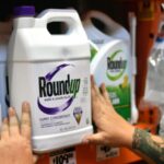 Supreme Court pesticide case rallies mothers concerned about health risks ahead of midterms