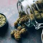 The changing landscape of marijuana use: A personal reflection on potency and safety